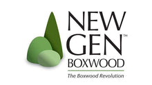 Load image into Gallery viewer, NewGen Freedom Boxwood Shrubs