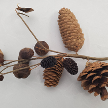 Load image into Gallery viewer, Natural Wreath Decorator Kit
